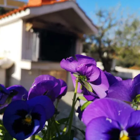 Διαμέρισμα Loni *